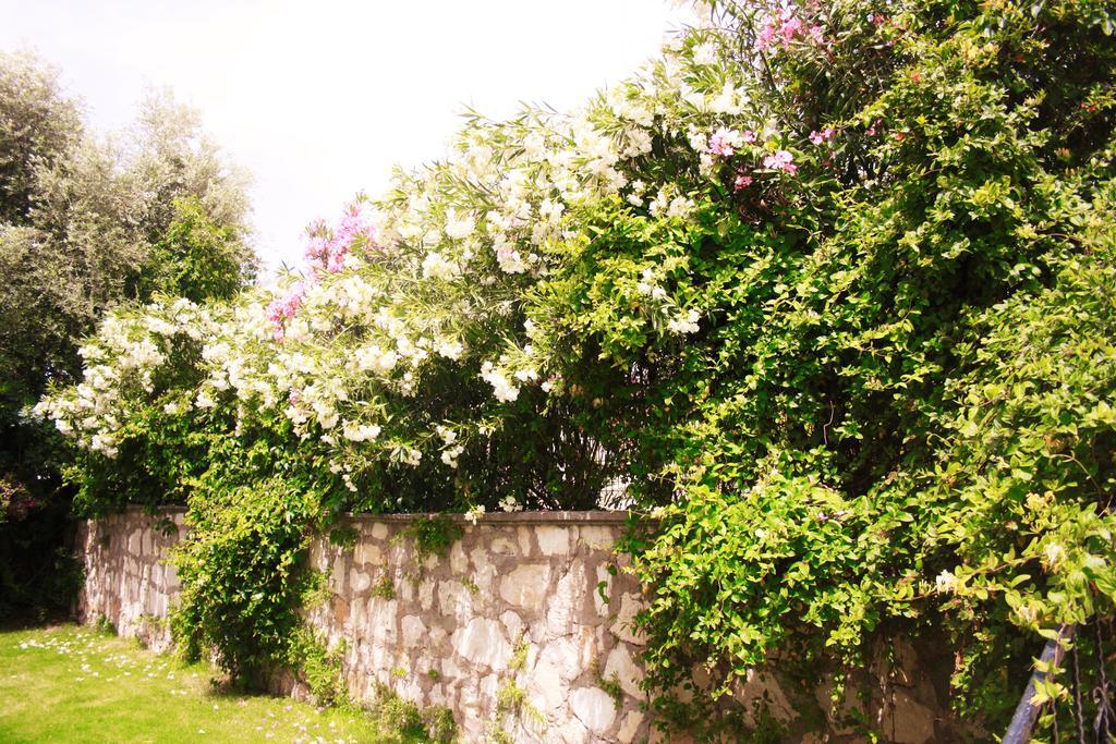 Parla Apart Hotel Cesme Bagian luar foto