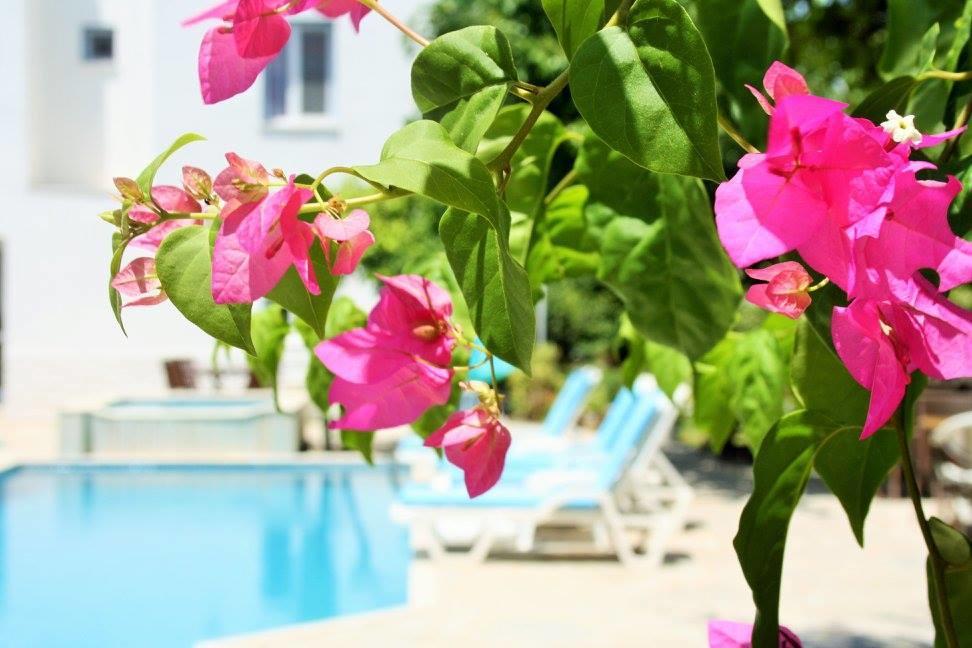 Parla Apart Hotel Cesme Bagian luar foto